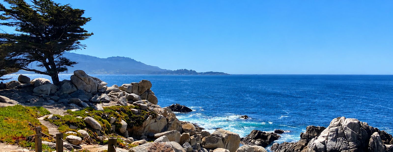 Monterey Peninsula coastline with a cypress tree and granite boulders